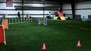 USDAA Gamblers PIII - 03/05/11
