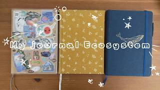 my journal ecosystem ｡𖦹°‧