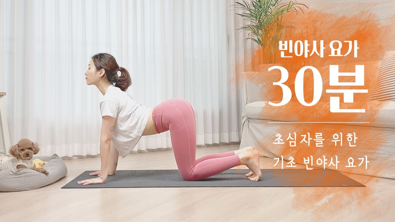 초급자를 위한 30분 빈야사 요가 | 기초요가 스트레칭