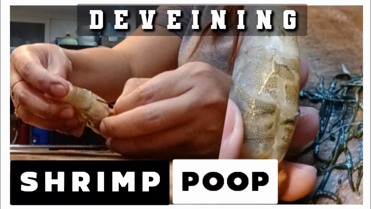 REMOVING POOP FROM SHRIMP SimplyZel YouTube