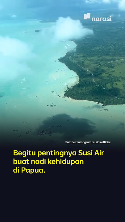 Gara-gara Penculikan dan Gangguan Keamanan, 40% Penerbangan Susi Air di Papua Terganggu | Buka Data