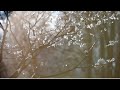 松本圭司『The Winds Of Spring』CD発売記念配信ライブ～前夜祭～