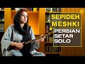         masterful performance setar by sepideh meshki