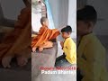 Padum Bhanteji World S Youngest Buddhiat Monk PhonePe 8668915618 Padum Bhanteji World S Youngest Buddhiat Monk PhonePe 8668915618