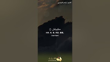 الشيخ/ ياسر الدوسري "سورة مريم" مترجم الصينية #نُرتل