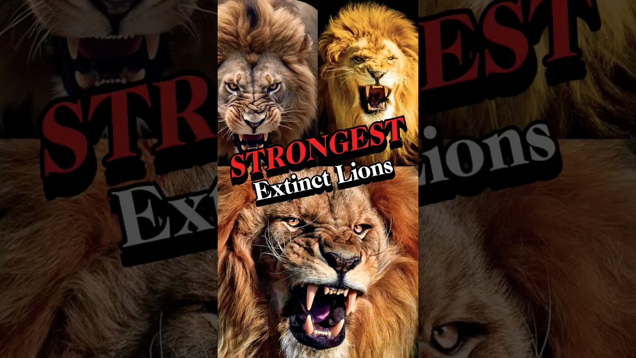 3 Most Powerful Extinct Lion Species: Part 2