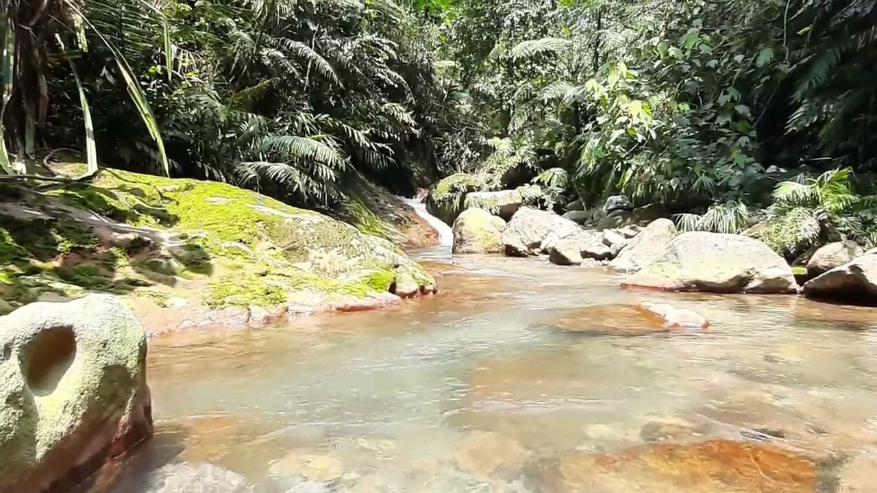 Autumn Letters 🍁 | Warm Acoustic Folk for Reflection, Nostalgia & Calm