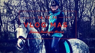 Een gezellige zondag op stal, en beide pony's gereden en gefilmd vo...
