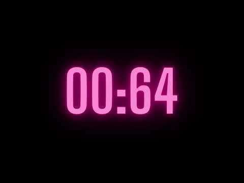 149 Second Timer with Alarm