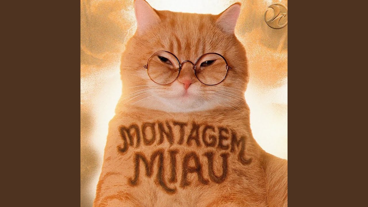 Montagem Miau