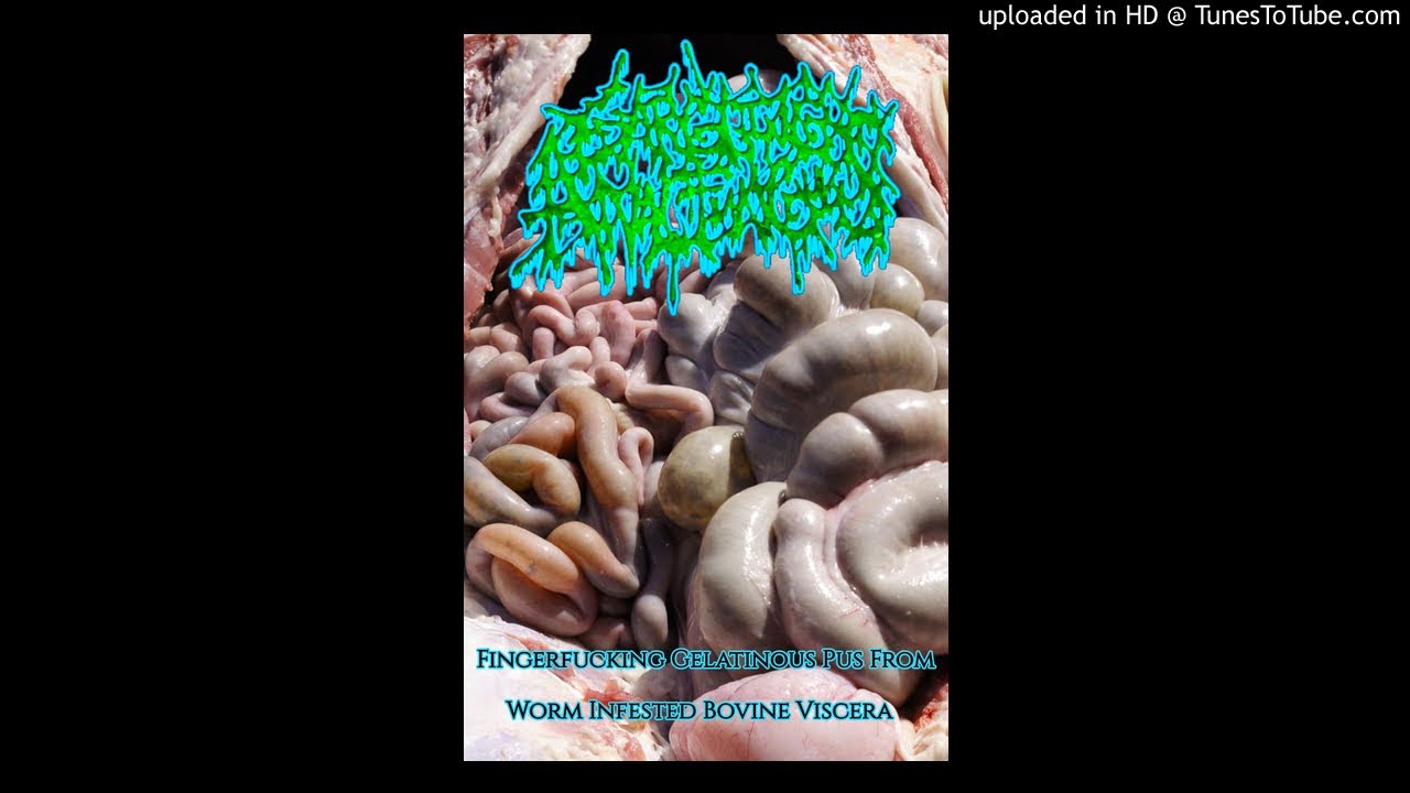 Gargling Anal Fungus - Fingerfucking Gelatinous Pus From Worm Infested  Bovine Viscera