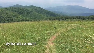 Max Patch Hike Appalachian Trail