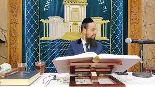 מו"ר הגאון הרב שקד בוהדנה שליט"א רמב״ם הלכות שופר , סוכה ,ולולב- פרק ד' הלכות א'-ג'
