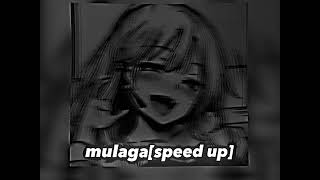 mulaga[speed up]