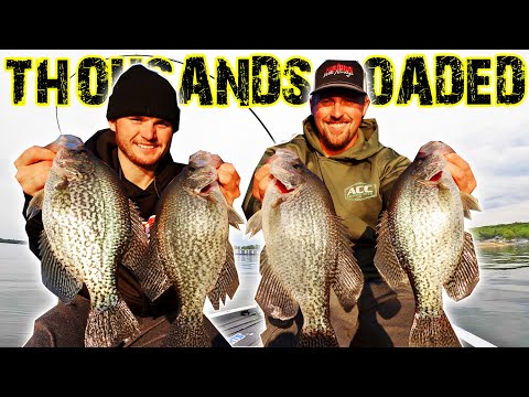 FISHING WITH NORDBYE - ALL VIDEOS 