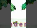 Sight Words #kidslearningusa #abc #abcd #kid #preschool#alphabet #nurseryactivities #nurseryschool