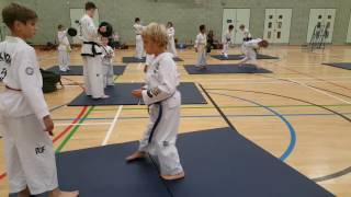 ITF Taekwon-Do Flying Reverse Turning Kick