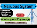 Nervous System // Nervous System Anatomy and Physiology // Anatomy and Physiology For Nursing