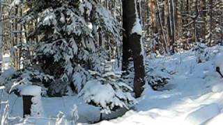 Snow day 12-06-09 d MVI_1875.AVI