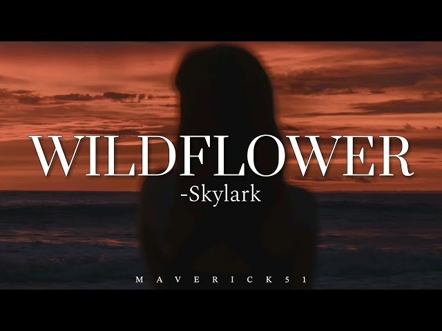 Skylark - Wildflower (Lyrics) HQ class=