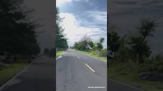 Story Wa Jalan Kalah  Sak Gedene Roso Lan Usahamu Nggo Aku