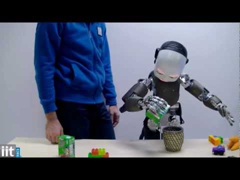 iCub - Humanoid Platform