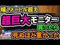 超巨大モニター買ったら死ぬほど重かった...(›´ω`‹ ) [超猫拳][周辺機器][フィリップス499P9H1]
