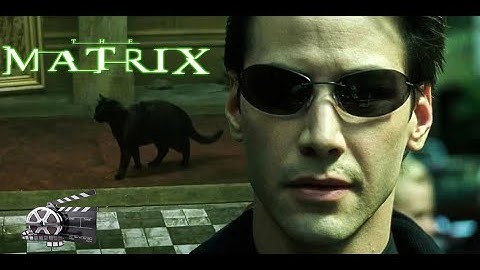 The Matrix (1999) - Deja Vu Scene || Movie Clips