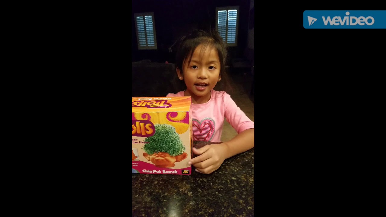 How to Grow a Chia Pet YouTube