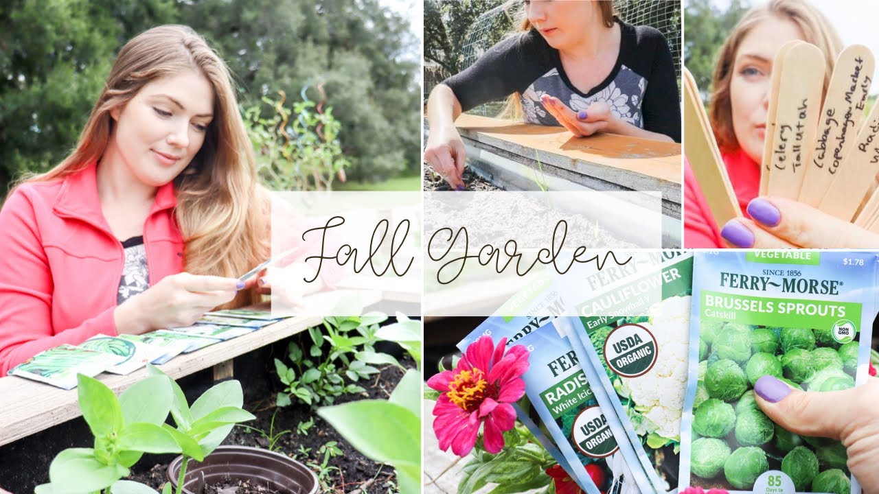 Let’s Start A Fall Garden (From Seed)! Zone 9B l Permaculture Vegetable