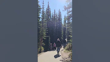 Trail To The Lake Peytolake Alberta Banffcanada Banff 
