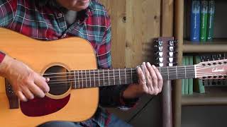 Vaseline Machine Gun  -  Leo Kottke (cover: 12 string guitar)