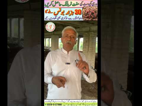 Free Vermi-Compost Training | 30000 Rs Bonus | #vermicompost #pakistan #job #shorts #agriculture