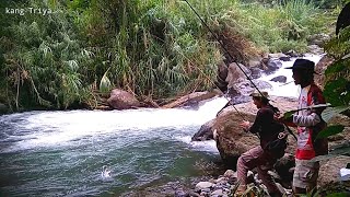 MANCING IKAN DEWA LEMBAH CURUG CIPENDOK