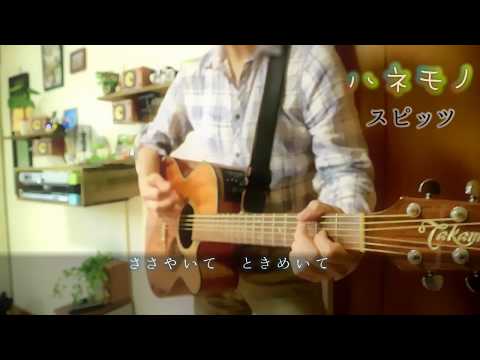 ハネモノ／スピッツ  素人弾き語り ♪ cover ♪
