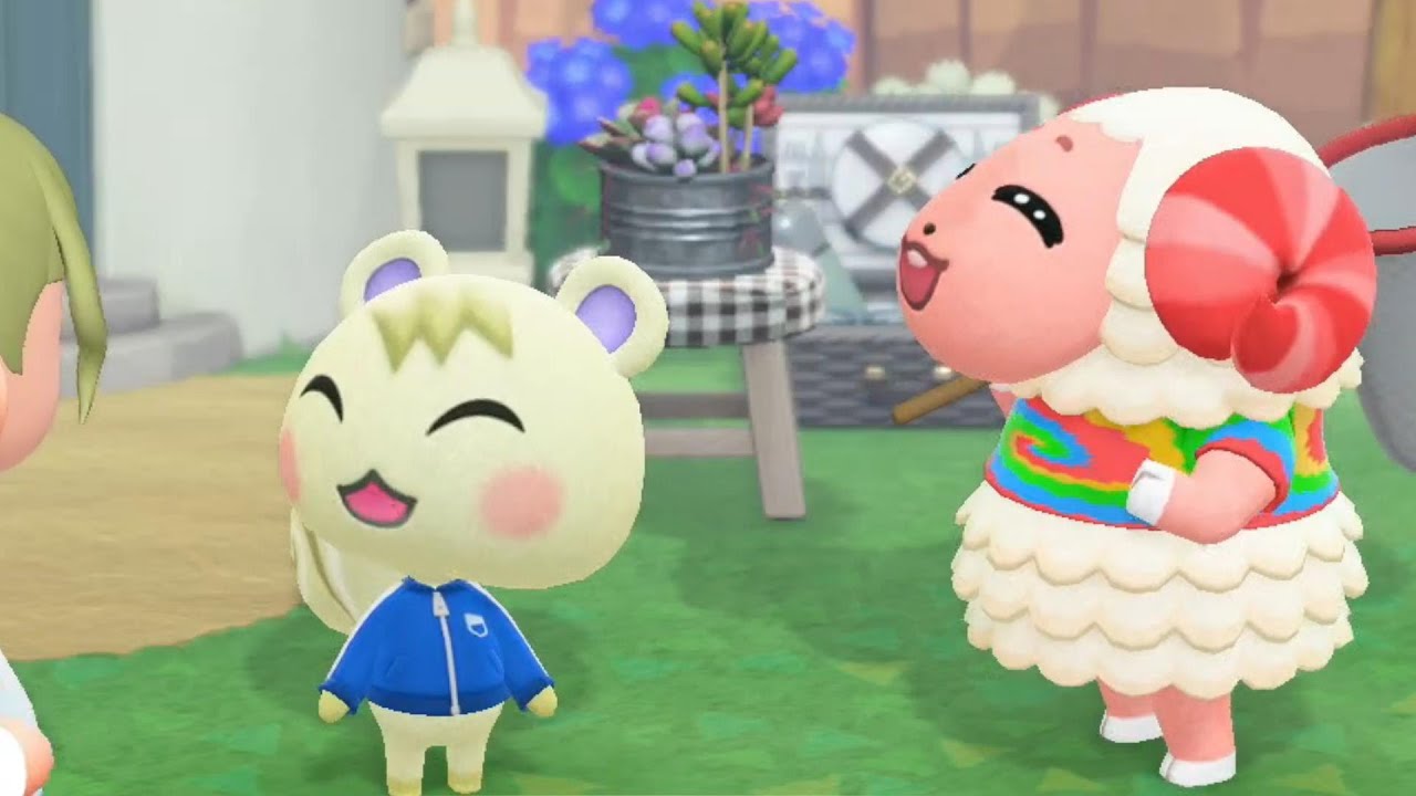 あつ森】トレーニングに燃えるちゃちゃまるとジュンくん！【どうぶつ達