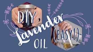How to Make Lavender Oil (Easy)