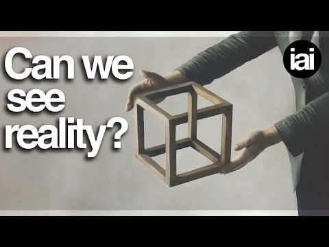 Video: Může obrázek dostatečně reprezentovat realitu?