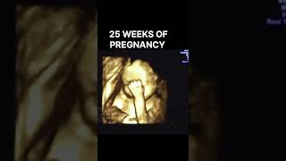 25 WEEKS OF PREGNANCY #shortsfeed #mother #motherhood #shorts#pregnancy #shorts#motherlove#ytshorts