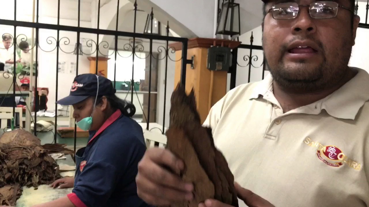 ¿Cómo se elaboran los puros de Veracruz?