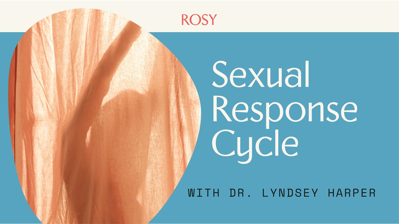 Sexual Response Cycle Youtube