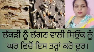 lakri nu lagan vali sionk (ਸਿਉਂਕ)nu ghar vicho ess tra karo  door.
