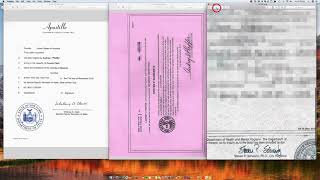 How to Apostille a New York City Death Certificate