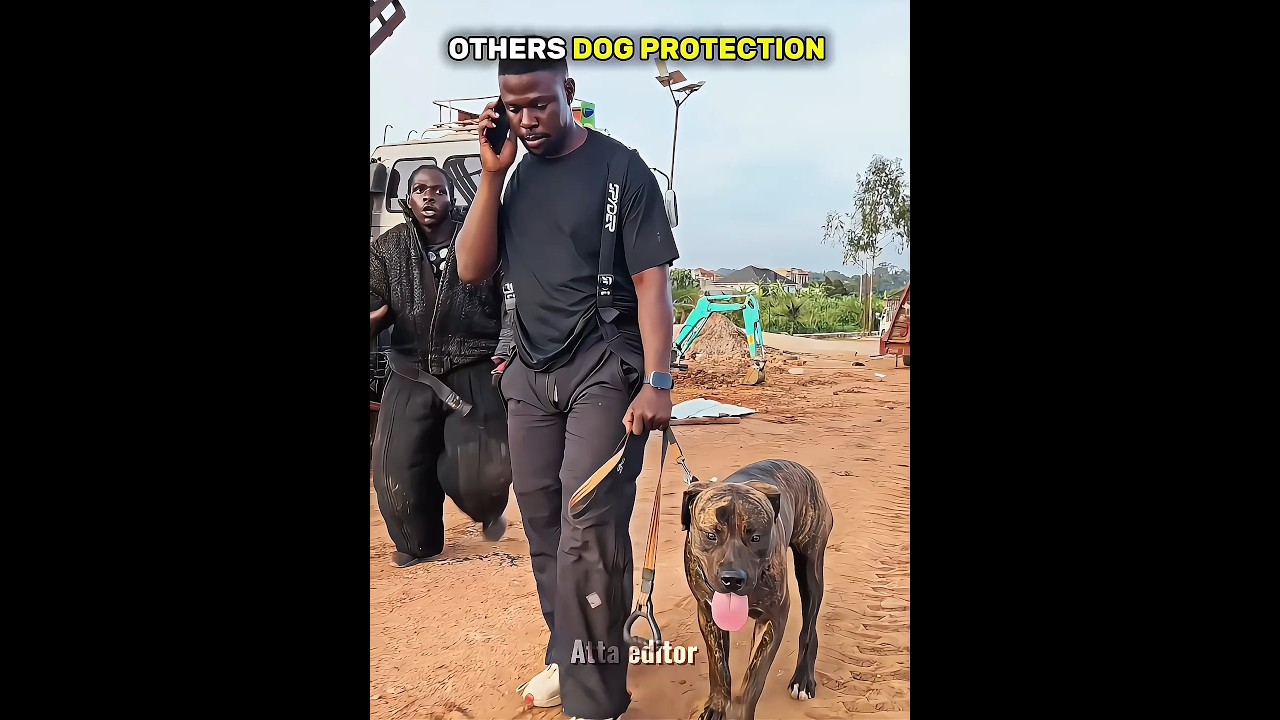 Others Dog Protection Vs This One ☠️