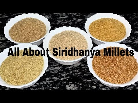 All About Siridhanya Millets-Health Benefits-Best Alternative for Wheat and Rice-Dr Khadar