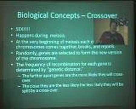 LayerOne 2007 - Rooster - Evolutionary Algorithms