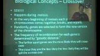 LayerOne 2007 - Rooster - Evolutionary Algorithms