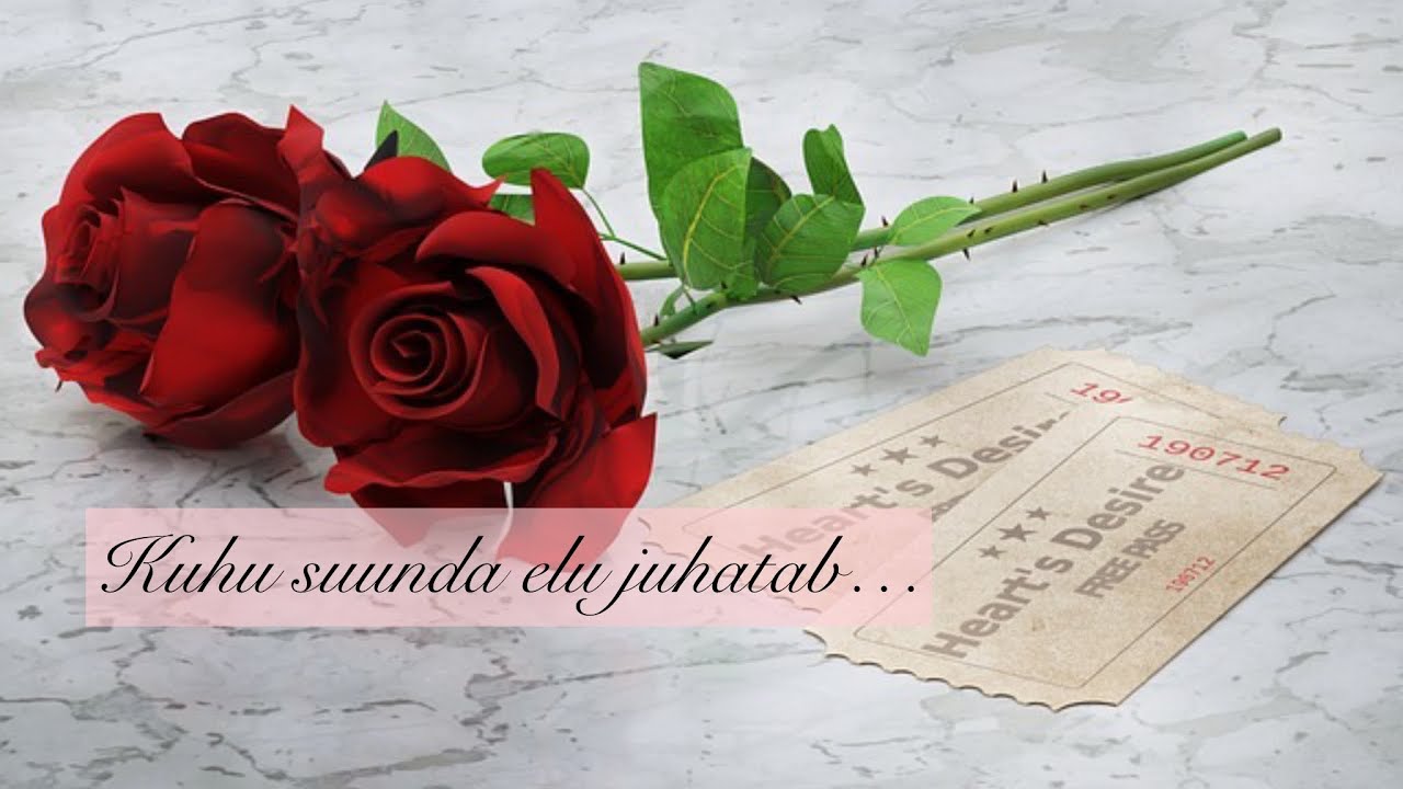 Kuhu suunda elu juhatab…🌹💕🌹