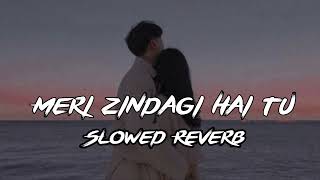 Meri zindagi hai tu lofi Slowed & Reverb satyameva jayate 2 John Abraham Divya k