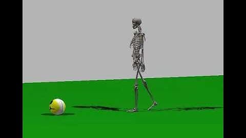 Dynamic simulations, dynamic control, dynamic constraints and ragdoll skeletons